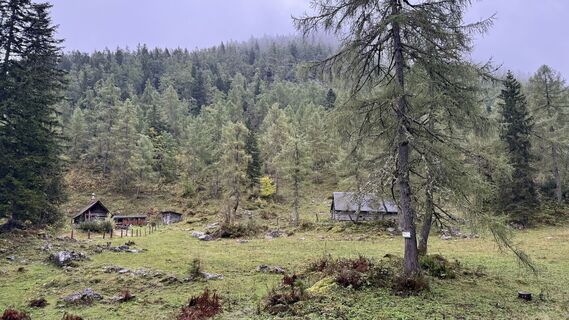 Fotografia z Manuela Riegler na trase