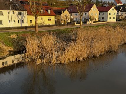 Foto de Schaali a lo largo del recorrido