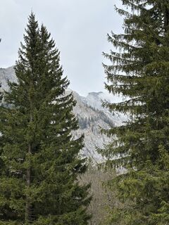 Photo de Alexander Nolz le long du parcours