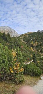 Photo de Nils Appelhoff le long du parcours