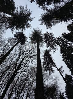 Foto von Mel 9 entlang der Tour