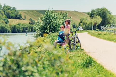 Auf dem Neckartal-Radweg | Lauffen a.N. | HeilbronnerLand