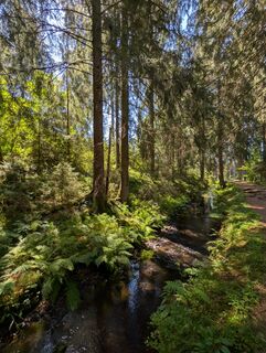 Photo de Daniel Wilhelm Rothe le long du parcours