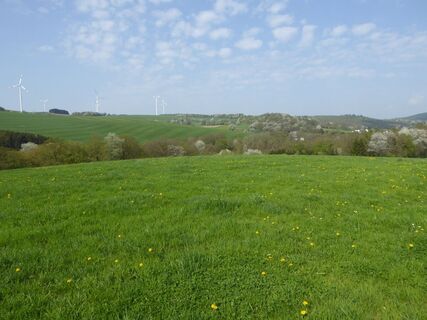 Landschaft im Ostertal