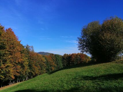 Foto von Christina Turnwald entlang der Tour