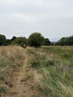 Photo de Sandra Wagemans le long du parcours