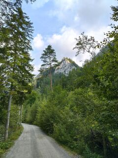 Photo de Poschacher le long du parcours