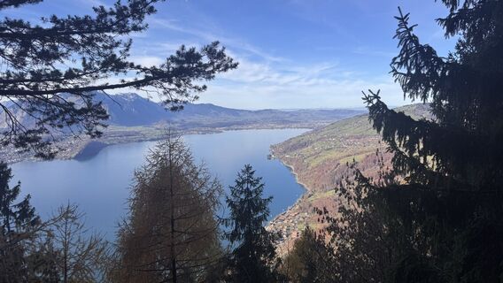 Fotografija s spletne strani peter_oe na poti