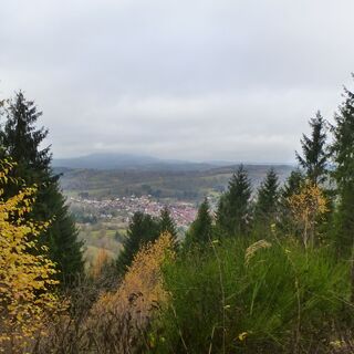 Blick auf Benshausen