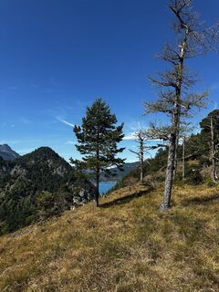 Fotografija s spletne strani Julian Leichtfried na poti