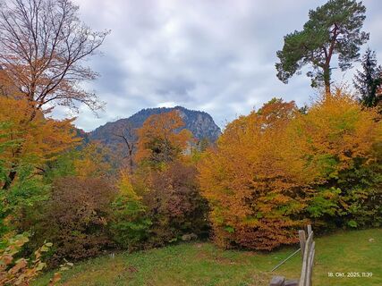 Foto de Mike van Gemert a lo largo del recorrido