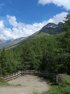 Foto von Adam Akwen entlang der Tour