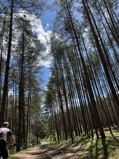 Fotografia z Václav Stejskal na trase