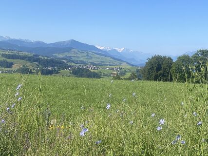 Foto von David Amrein entlang der Tour