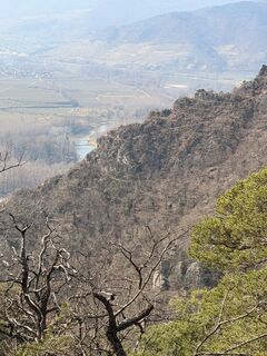 Fotografija s spletne strani Gerhard Piglmann na poti