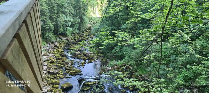 Zdjęcie z Waldmeister1955 wzdłuż trasy