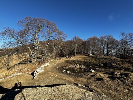Fotografia z Angelo Austoni na trase
