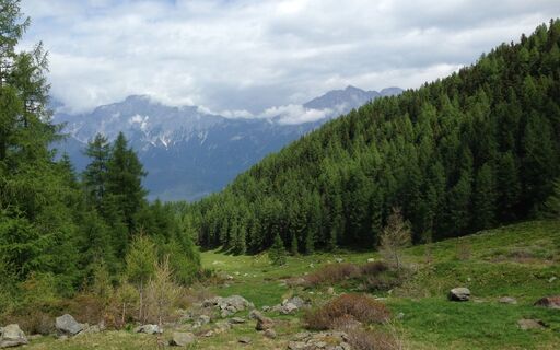narrenkopf_02_foto-tb-telfs_90636611.jpg