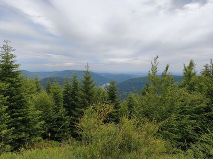 Dobel, Baden-Württemberg/Deutschland
