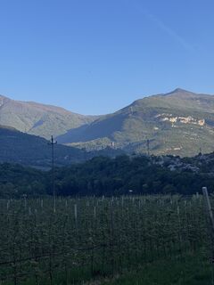 Fotografija s spletne strani Antero Varini de Paula na poti