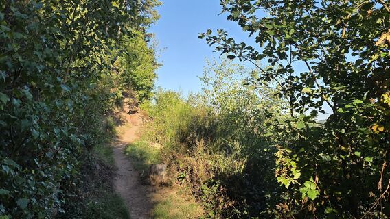 Zdjęcie z Katja Senkel wzdłuż trasy