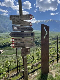 Foto von Peter Schäfer entlang der Tour