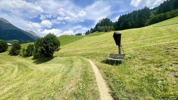 Photo de Katja Hechler le long du parcours