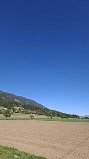 Foto von Mangolein entlang der Tour