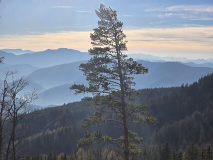 Foto von TwilightTea entlang der Tour