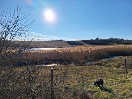 Fotografia z Andrea Roschek na trase