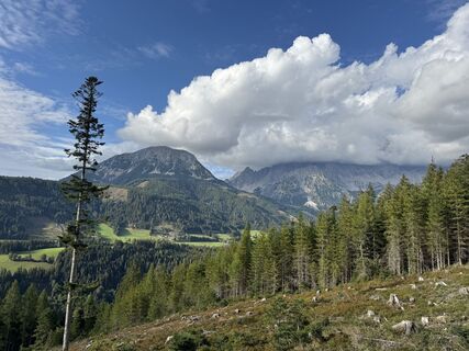 Fotografie z Andreas Kratzsch na trase