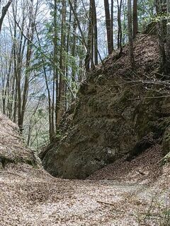 Foto de Ivanka macinkovic a lo largo del recorrido