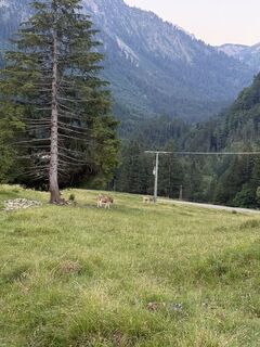 Foto von Hauptmann Kilian entlang der Tour