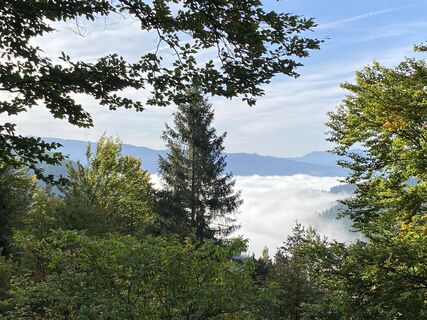 Foto von Melanie Hörzer entlang der Tour