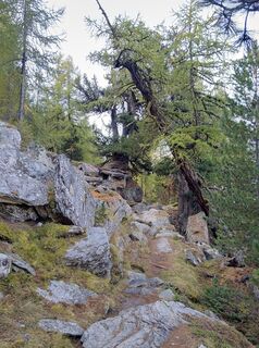 Kuva osoitteesta WolBo matkan varrella