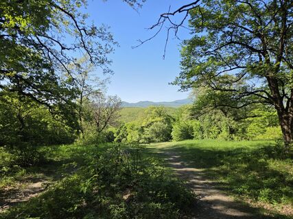 Fotografija s spletne strani Dániel Téglás na poti