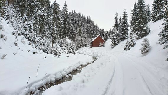 0.1 km Faltbach