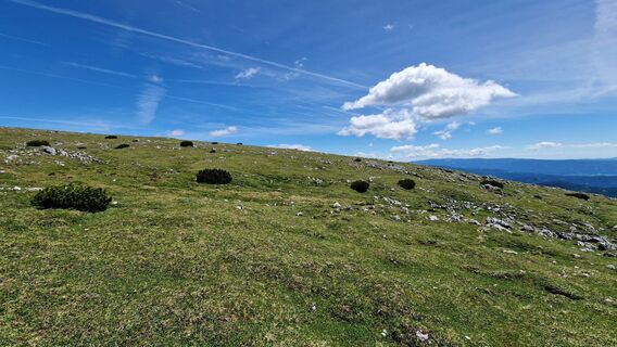 Photo de EP87 le long du parcours