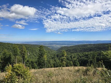 Foto von TwilightTea entlang der Tour