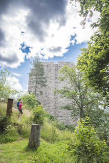 Ruine Neufürstenberg