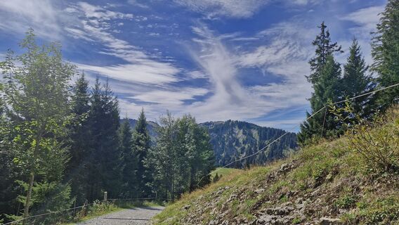 Foto von Peter Schuler entlang der Tour