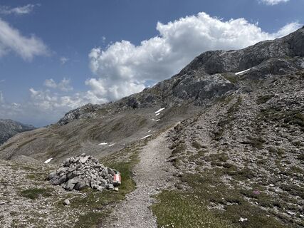 Foto da Grizzli lungo il tour