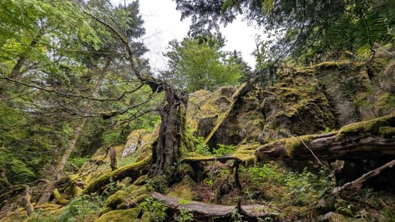 Photo de Richard Schwald le long du parcours
