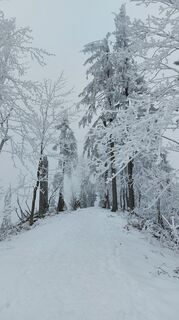 Foto von Chris Eck entlang der Tour