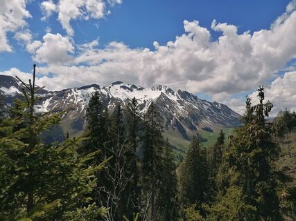 Fotografia z luyyy na trase