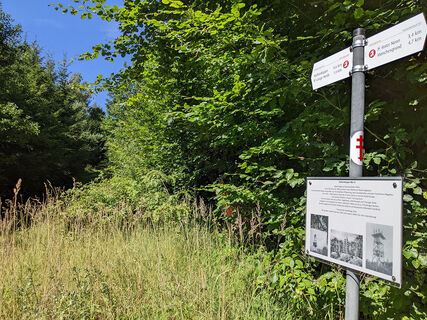 Stellerskuppenweg 04