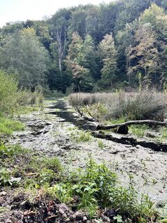 Fotografie z Kirill Golovin na trase