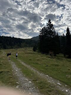 Fotografia z Andreas Klahre na trase