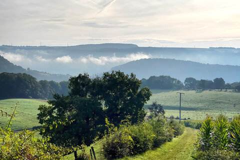 Photo de Gloop le long du parcours