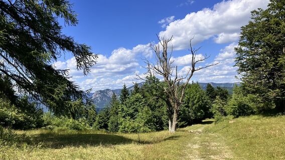 Foto von Robert Gerard entlang der Tour